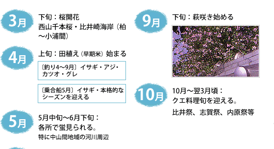 四季折々の日高町